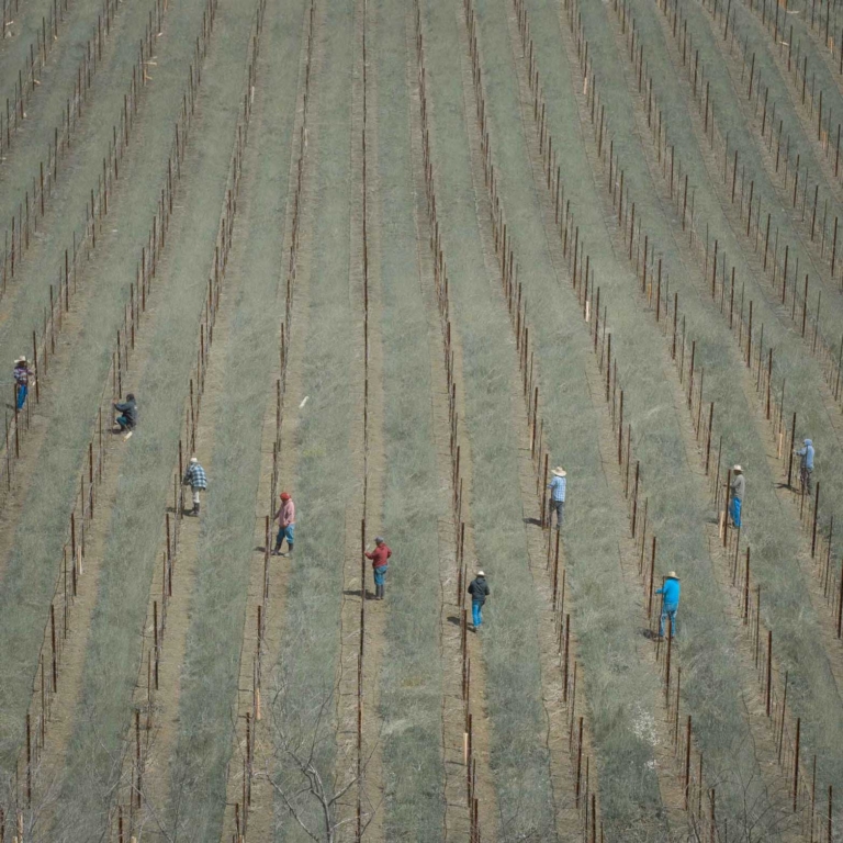 photo of farmworkers