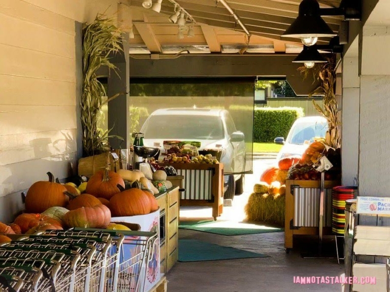 the exterior of the shop with boxes of pumpkins