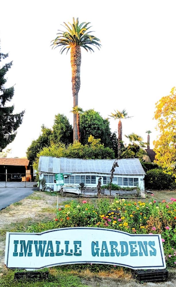 Imwalle Gardens greenhouse