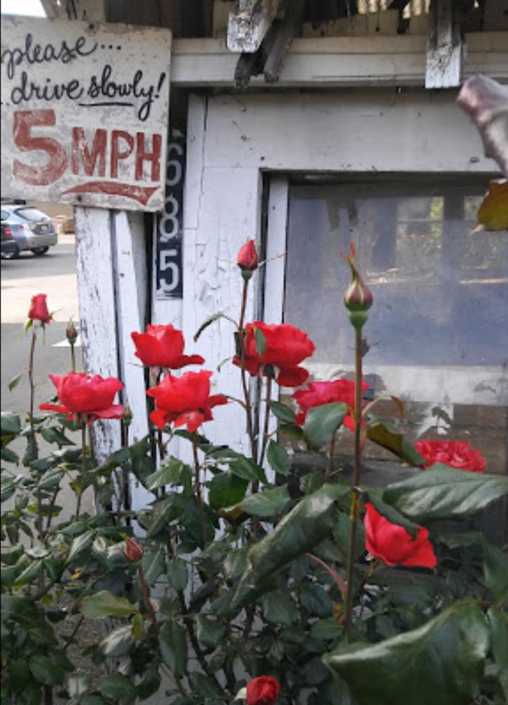 Imwalle roses outside store