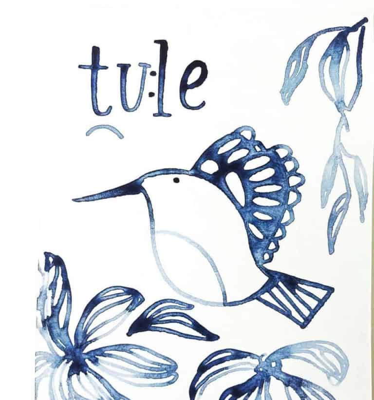Pomo Bird ink illustration by Santa Rosa artist